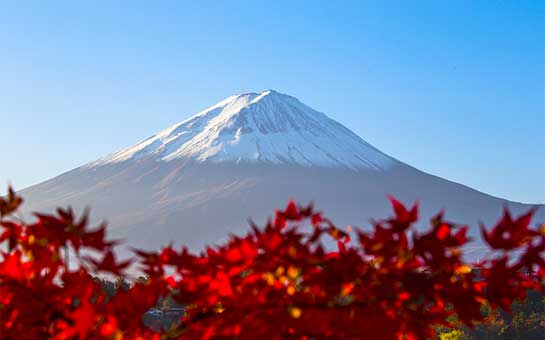 旅游保险与火山爆发